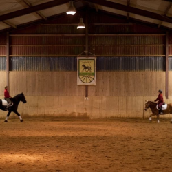 Pferdehof Reitanlage Birkenhof Oppin bei Halle