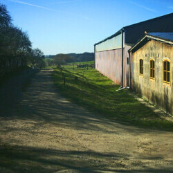 Pferdehof Reitanlage Birkenhof Oppin bei Halle